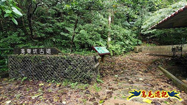 淡蘭山徑暖東舊道-頂子寮山-五分山-西峰-荖寮坑古道去回 (75).jpg