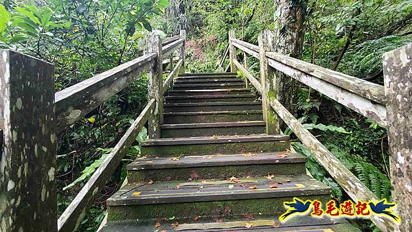 淡蘭山徑暖東舊道-頂子寮山-五分山-西峰-荖寮坑古道去回 (70).jpg