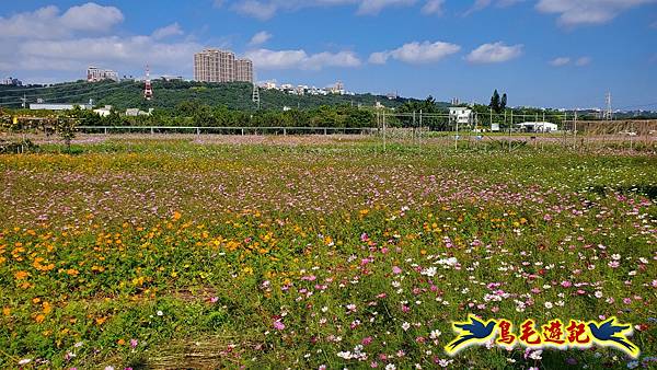 2025桃園花彩節-月眉休閒農業區 (1).jpg