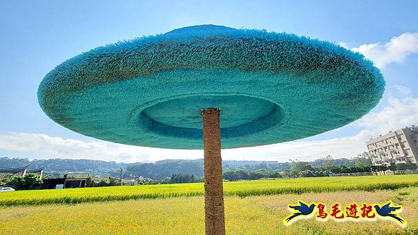 2025桃園花彩節-月眉休閒農業區 (5).jpg