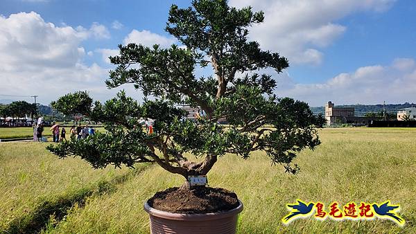 2025桃園花彩節-月眉休閒農業區 (12).jpg 2025桃園花彩節-月眉休閒農業區 (12).jpg