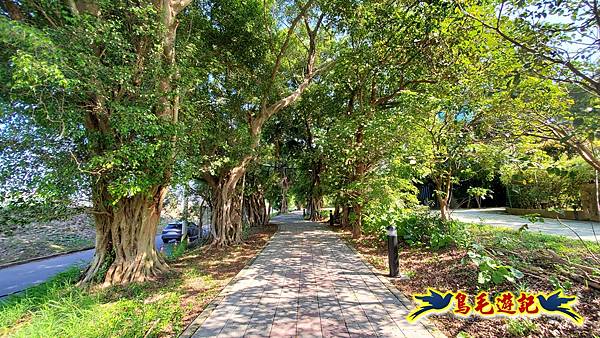 2025桃園花彩節-月眉休閒農業區 (17).jpg