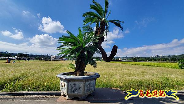 2025桃園花彩節-月眉休閒農業區 (16).jpg 2025桃園花彩節-月眉休閒農業區 (16).jpg