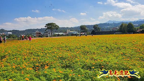 2025桃園花彩節-月眉休閒農業區 (23).jpg