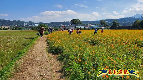 2025桃園花彩節-月眉休閒農業區 (22).jpg 2025桃園花彩節-月眉休閒農業區 (22).jpg