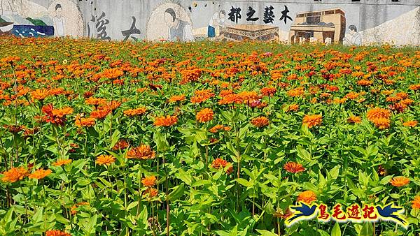 2025桃園花彩節-月眉休閒農業區 (30).jpg 2025桃園花彩節-月眉休閒農業區 (30).jpg