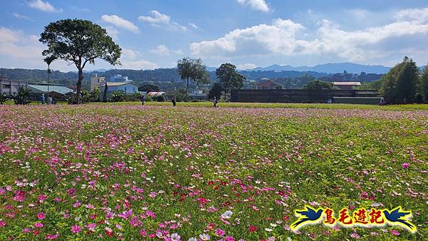 2025桃園花彩節-月眉休閒農業區 (29).jpg