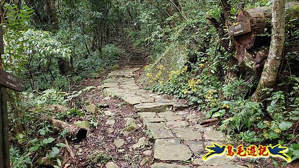 北投清天宮-面天山-向天山-向天池-興福寮步道-真聖宮 (12).jpg 北投清天宮-面天山-向天山-向天池-興福寮步道-真聖宮 (12).jpg