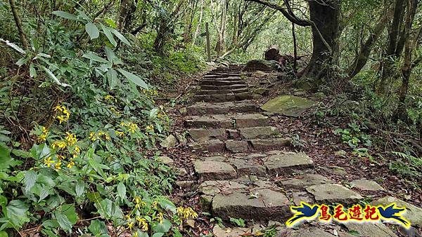 北投清天宮-面天山-向天山-向天池-興福寮步道-真聖宮 (10).jpg 北投清天宮-面天山-向天山-向天池-興福寮步道-真聖宮 (10).jpg