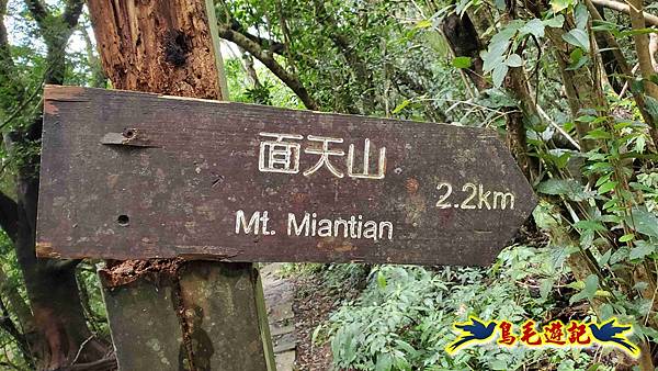 北投清天宮-面天山-向天山-向天池-興福寮步道-真聖宮 (13).jpg