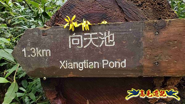 北投清天宮-面天山-向天山-向天池-興福寮步道-真聖宮 (14).jpg 北投清天宮-面天山-向天山-向天池-興福寮步道-真聖宮 (14).jpg