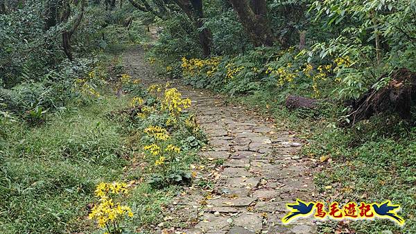 北投清天宮-面天山-向天山-向天池-興福寮步道-真聖宮 (18).jpg