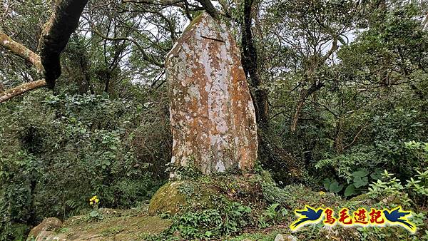 北投清天宮-面天山-向天山-向天池-興福寮步道-真聖宮 (17).jpg 北投清天宮-面天山-向天山-向天池-興福寮步道-真聖宮 (17).jpg