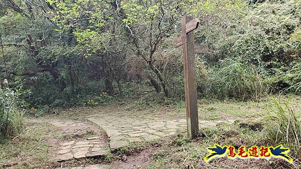 北投清天宮-面天山-向天山-向天池-興福寮步道-真聖宮 (21).jpg