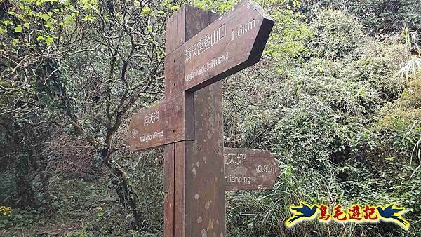 北投清天宮-面天山-向天山-向天池-興福寮步道-真聖宮 (22).jpg 北投清天宮-面天山-向天山-向天池-興福寮步道-真聖宮 (22).jpg