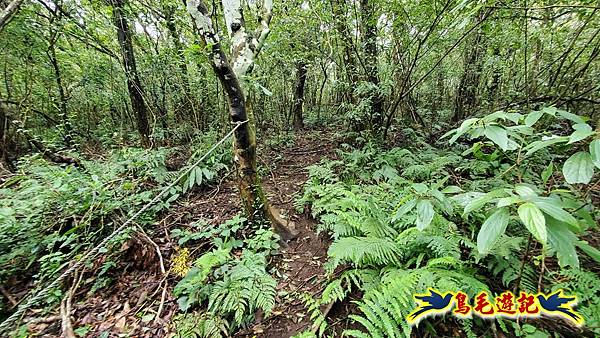 北投清天宮-面天山-向天山-向天池-興福寮步道-真聖宮 (24).jpg 北投清天宮-面天山-向天山-向天池-興福寮步道-真聖宮 (24).jpg