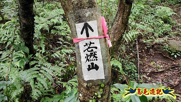 北投清天宮-面天山-向天山-向天池-興福寮步道-真聖宮 (25).jpg