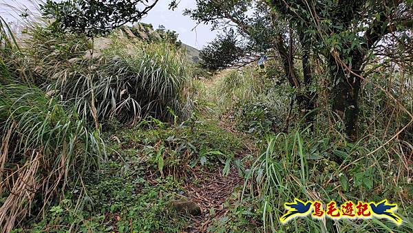 北投清天宮-面天山-向天山-向天池-興福寮步道-真聖宮 (28).jpg 北投清天宮-面天山-向天山-向天池-興福寮步道-真聖宮 (28).jpg