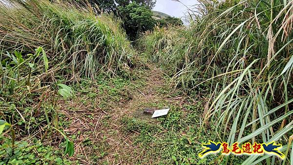 北投清天宮-面天山-向天山-向天池-興福寮步道-真聖宮 (30).jpg