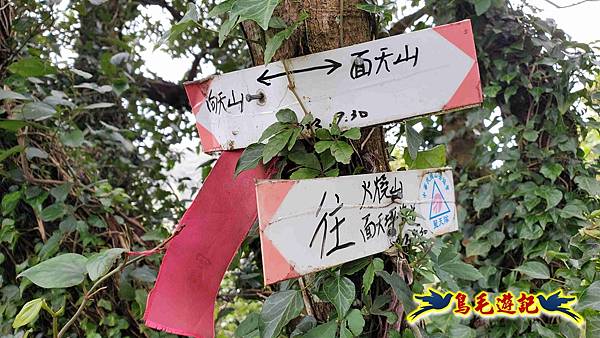 北投清天宮-面天山-向天山-向天池-興福寮步道-真聖宮 (31).jpg