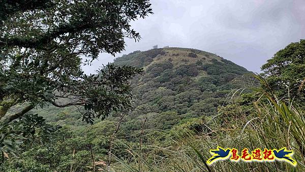 北投清天宮-面天山-向天山-向天池-興福寮步道-真聖宮 (34).jpg 北投清天宮-面天山-向天山-向天池-興福寮步道-真聖宮 (34).jpg