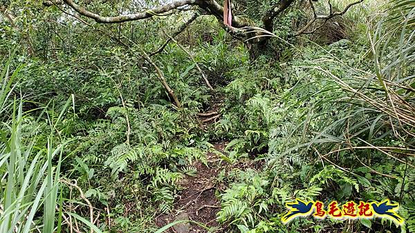 北投清天宮-面天山-向天山-向天池-興福寮步道-真聖宮 (35).jpg