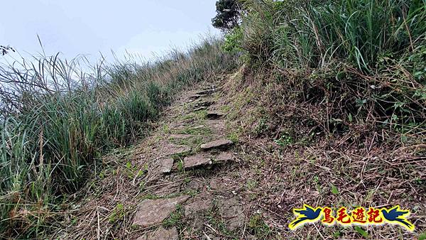 北投清天宮-面天山-向天山-向天池-興福寮步道-真聖宮 (37).jpg