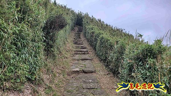 北投清天宮-面天山-向天山-向天池-興福寮步道-真聖宮 (39).jpg