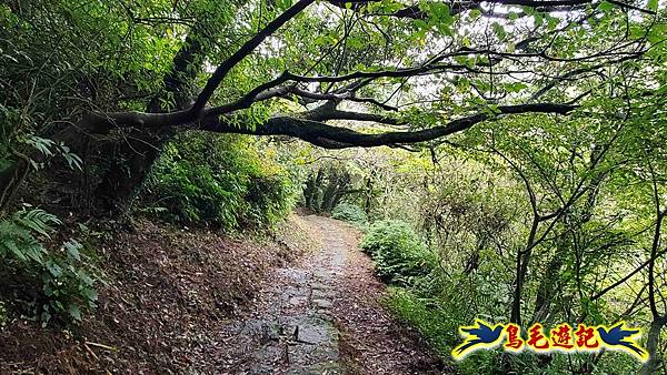 北投清天宮-面天山-向天山-向天池-興福寮步道-真聖宮 (47).jpg 北投清天宮-面天山-向天山-向天池-興福寮步道-真聖宮 (47).jpg