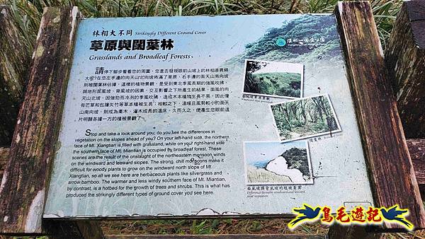 北投清天宮-面天山-向天山-向天池-興福寮步道-真聖宮 (48).jpg