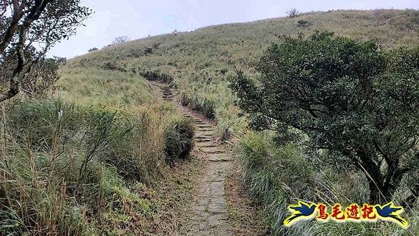 北投清天宮-面天山-向天山-向天池-興福寮步道-真聖宮 (49).jpg 北投清天宮-面天山-向天山-向天池-興福寮步道-真聖宮 (49).jpg