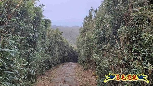 北投清天宮-面天山-向天山-向天池-興福寮步道-真聖宮 (46).jpg