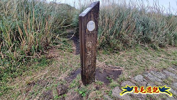 北投清天宮-面天山-向天山-向天池-興福寮步道-真聖宮 (52).jpg
