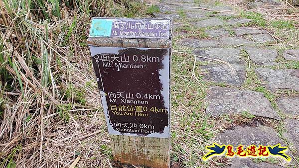 北投清天宮-面天山-向天山-向天池-興福寮步道-真聖宮 (51).jpg 北投清天宮-面天山-向天山-向天池-興福寮步道-真聖宮 (51).jpg