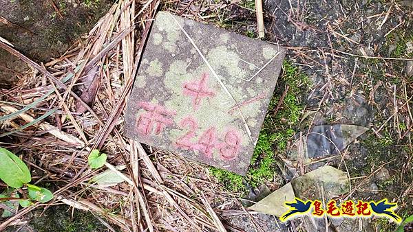 北投清天宮-面天山-向天山-向天池-興福寮步道-真聖宮 (53).jpg 北投清天宮-面天山-向天山-向天池-興福寮步道-真聖宮 (53).jpg