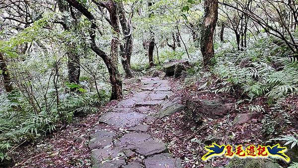 北投清天宮-面天山-向天山-向天池-興福寮步道-真聖宮 (55).jpg 北投清天宮-面天山-向天山-向天池-興福寮步道-真聖宮 (55).jpg