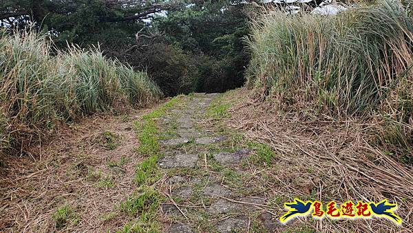 北投清天宮-面天山-向天山-向天池-興福寮步道-真聖宮 (54).jpg