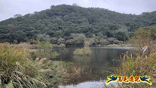 北投清天宮-面天山-向天山-向天池-興福寮步道-真聖宮 (58).jpg