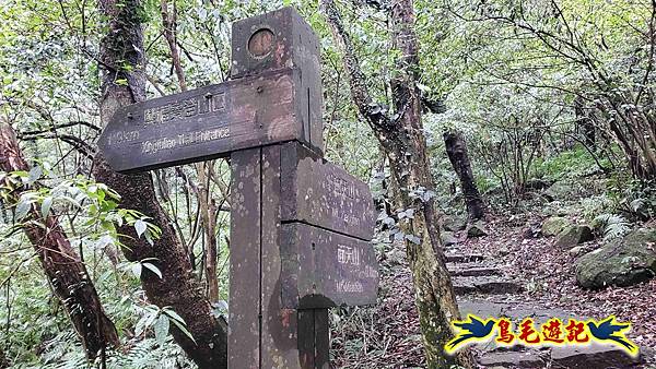 北投清天宮-面天山-向天山-向天池-興福寮步道-真聖宮 (56).jpg