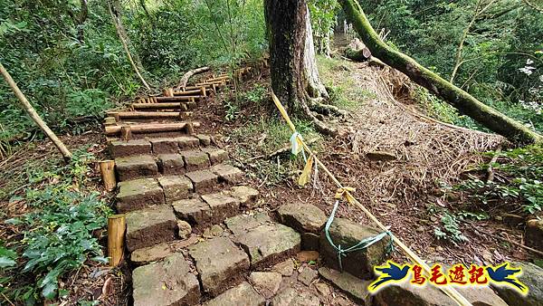 北投清天宮-面天山-向天山-向天池-興福寮步道-真聖宮 (66).jpg