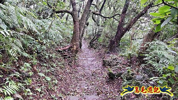 北投清天宮-面天山-向天山-向天池-興福寮步道-真聖宮 (65).jpg 北投清天宮-面天山-向天山-向天池-興福寮步道-真聖宮 (65).jpg