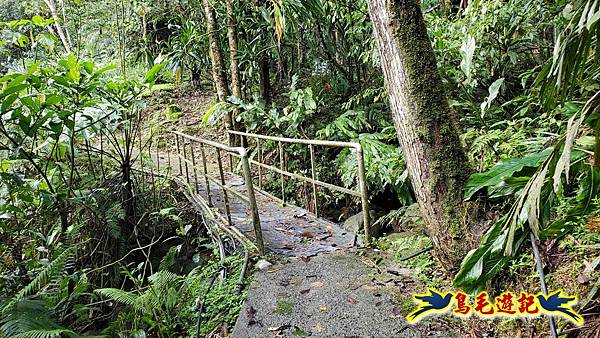 灰窯橋-善覺寺-畝畝山北稜線-畝畝山-石硿子古道-灰窯大小瀑布O形 (5).jpg