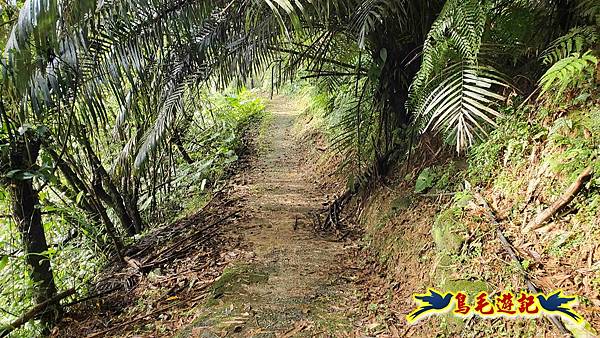 灰窯橋-善覺寺-畝畝山北稜線-畝畝山-石硿子古道-灰窯大小瀑布O形 (4).jpg