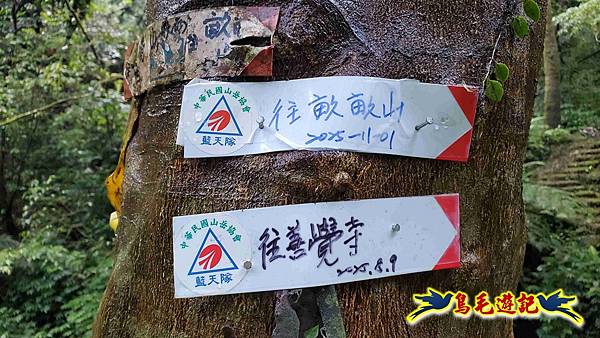 灰窯橋-善覺寺-畝畝山北稜線-畝畝山-石硿子古道-灰窯大小瀑布O形 (10).jpg