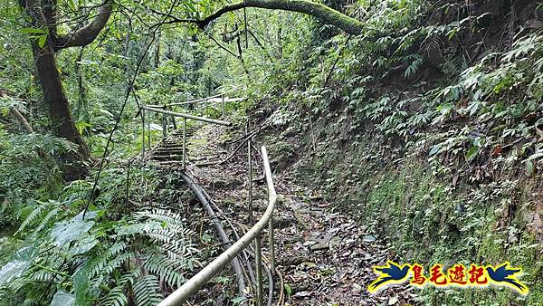 灰窯橋-善覺寺-畝畝山北稜線-畝畝山-石硿子古道-灰窯大小瀑布O形 (8).jpg