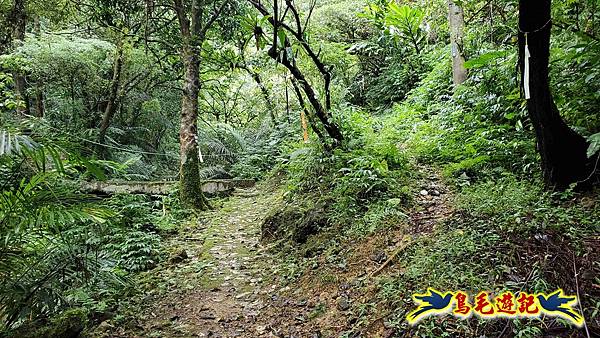 灰窯橋-善覺寺-畝畝山北稜線-畝畝山-石硿子古道-灰窯大小瀑布O形 (9).jpg