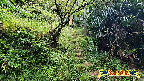 灰窯橋-善覺寺-畝畝山北稜線-畝畝山-石硿子古道-灰窯大小瀑布O形 (15).jpg