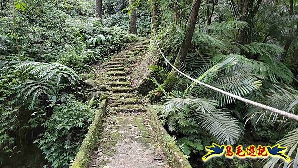 灰窯橋-善覺寺-畝畝山北稜線-畝畝山-石硿子古道-灰窯大小瀑布O形 (11).jpg