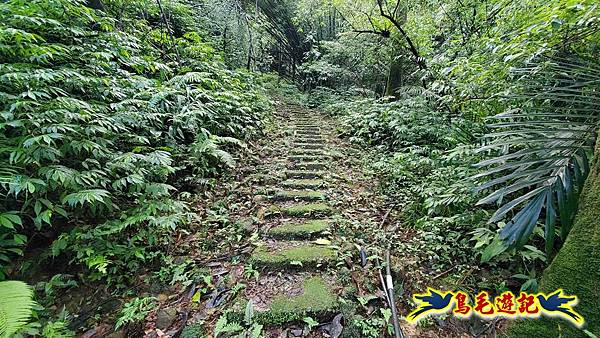 灰窯橋-善覺寺-畝畝山北稜線-畝畝山-石硿子古道-灰窯大小瀑布O形 (12).jpg