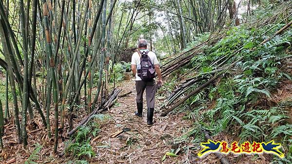 灰窯橋-善覺寺-畝畝山北稜線-畝畝山-石硿子古道-灰窯大小瀑布O形 (18).jpg